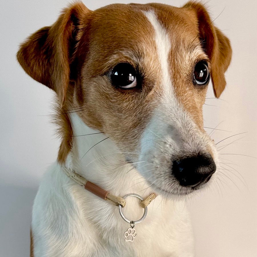 TagHug Reflective Beige ID tag  collar. Reflective handmade accessory for dogs and cats.