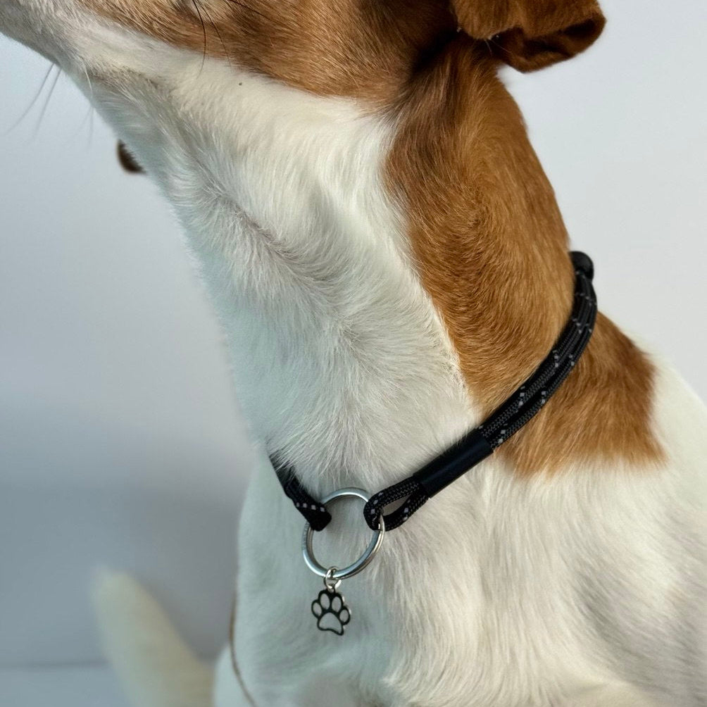 TagHug Reflective Black Pet ID tag  collar. handmade accessory for dog and cat