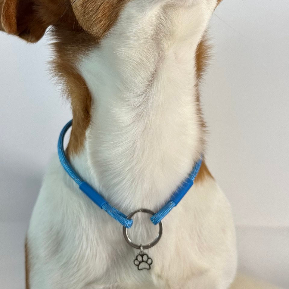 TagHug Reflective Blue ID tag collar. Reflective handmade pet accessory for dog 