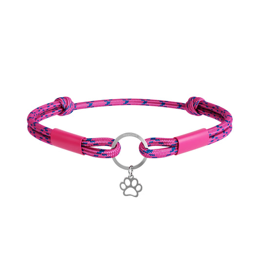 Pink Blue Lightweight pet ID tag holder for dogs and cats in pink and blue. Modern dog collar accessory designed to pair with any harness.