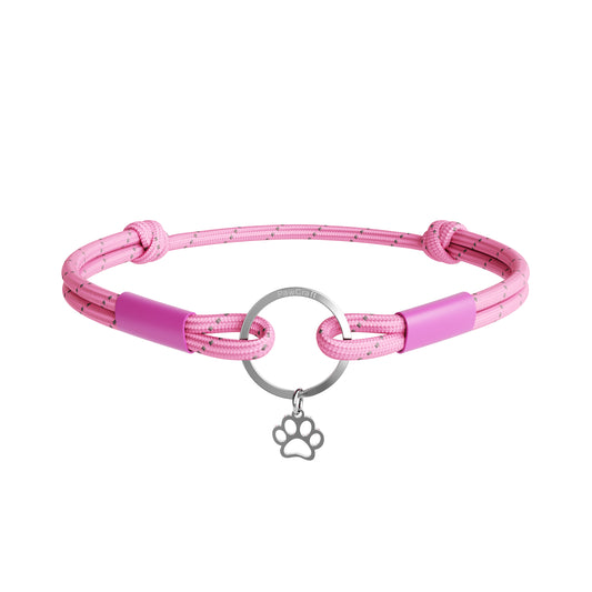 Pink dog collar with a silver paw charm on a white background