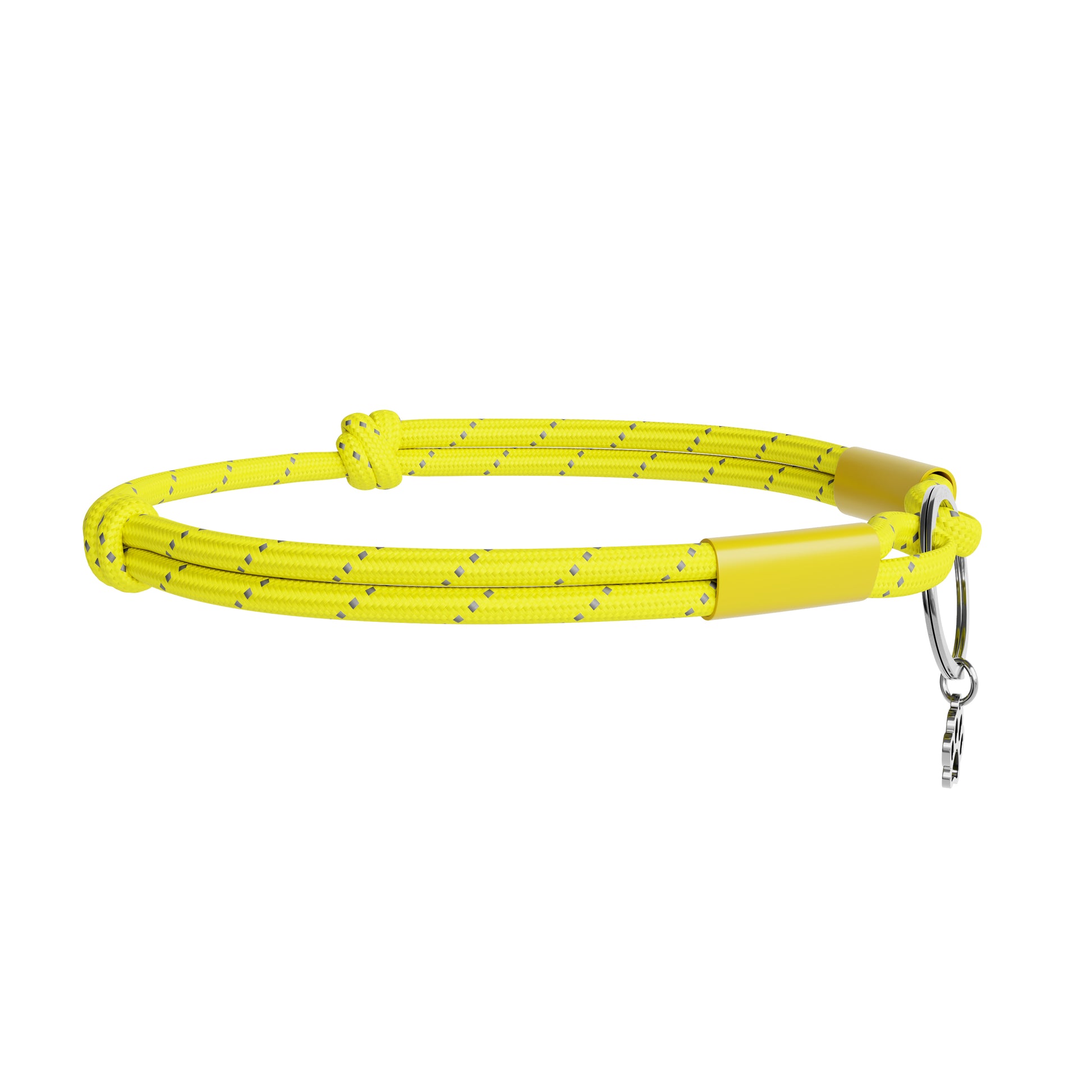 Yellow dog collar with metal clasp on a white background